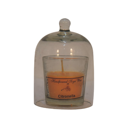 citronella candle in a glass dome with white background